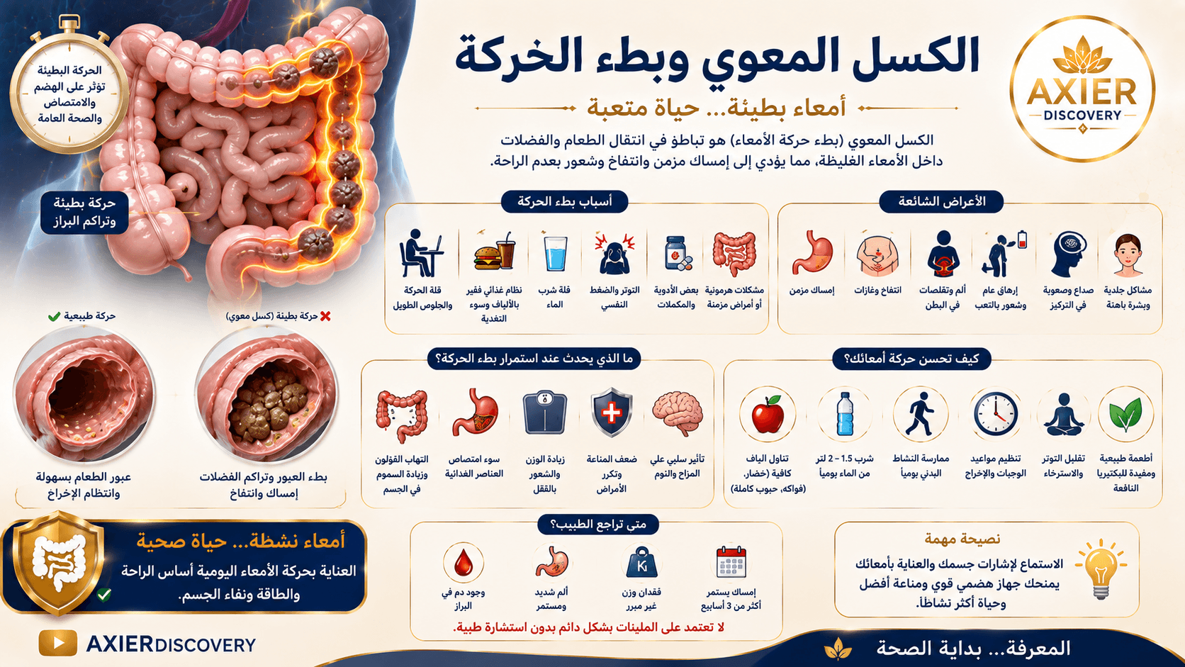 صورة توضيحية للكسل المعوي وبطء حركة الأمعاء، تُظهر بطء انتقال الفضلات وتراكمها داخل القولون، مع أبرز الأسباب والأعراض وطرق تحسين حركة الأمعاء – AXIER Discovery.