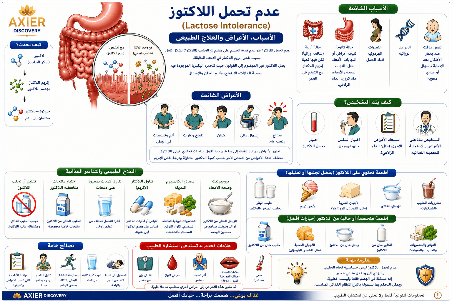 صورة توضيحية لعدم تحمّل اللاكتوز (Lactose Intolerance)، تُظهر تأثير نقص إنزيم اللاكتاز على هضم منتجات الحليب، مع أبرز الأسباب والأعراض وطرق التشخيص والخيارات الغذائية المناسبة والعلاج الداعم – AXIER D