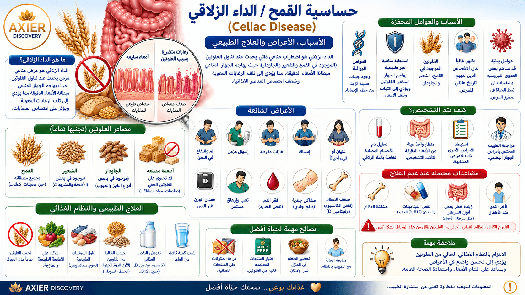 صورة توضيحية للداء الزلاقي (Celiac Disease)، تُظهر تأثير الغلوتين على بطانة الأمعاء الدقيقة وتضرر الزُغابات المعوية، مع أبرز الأسباب والأعراض وطرق التشخيص والمضاعفات والنظام الغذائي الخالي من الغلوتين